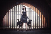 LadyCleopathra Dobermann!

by www.fotopsy.pl
model: me
dogs: Huzar & Mafia
MUA: me