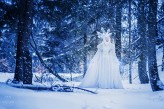 MLCFoto Królowa śniegu 