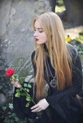 lady_ophelia rose