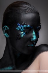 anmakeup Blue insects