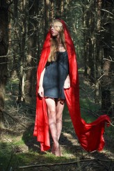 master-of-puppets Little Red Riding Hood
Fot: Kuba K.