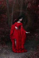 ladyhypnotica * crimson path *