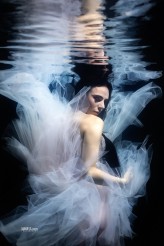 arf Sesja podwodna 
model Magda
https://www.instagram.com/rafalmakielaphotographer/