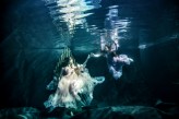 Lolek14 Podwodna Baśniowa Opowieść 