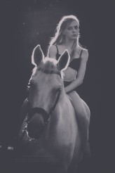 purpurowykrolik Zdjęcie Małgorzata Świtońska/Goyavision/: 

Stylizacja Usagifashion

Koń: Calla wł. Stajnia Złoty Rubin: 

Warsztaty w Błażejewie