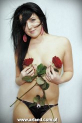 arland róże dla fotografa...