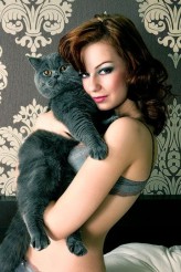 andrrra Model: Mój boski kot Fado (niebieski krótkowłosy kot brytyjski)