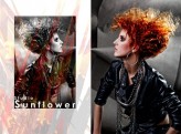 ewelinamiasik wlosy i stylizacja Studio Sunflower
www.studiosunflower.pl