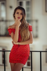 Wokalove Red dress
