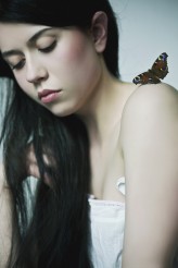 madamedentelle "Butterfly"
