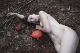 symbolicinteraction Amanita Muscaria

Plener Nadwarciański Portret Fotograficzny Wrzesień 2019