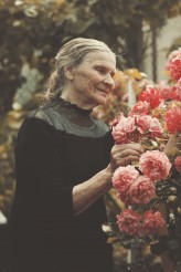 plonsky Moja babcia od zawsze kocha róże.