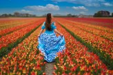 AMBITN4 Netherlands april 2022
Niesamowite pola tulipanów w Holandii i piękna stylizacja stworzona przeze mnie.