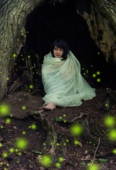 siak glow-worms