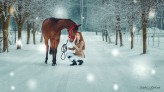 RafaellPhotography Z miłości do koni