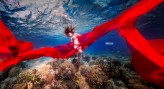 arf                             Sesja podwodna bielizny firmy Axami na Bali, modelka Krysia
https://www.instagram.com/rafalmakielaphotographer/            