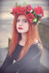 lady_ophelia roses
