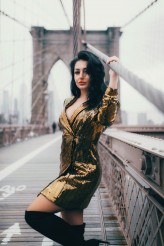 patiwalrus Brooklyn Bridge