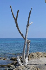 rapacz-dorota Grecja, Kreta, Chrisi Island