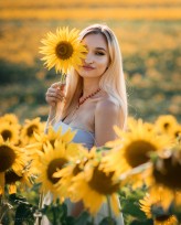 p_nowicki sunflowers
