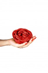 PetitPiedGalbe Czerwona róża... :)