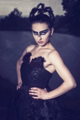 pablobb Black Swan