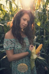 piotreq_z W kukurydzy bez GMO ;-)