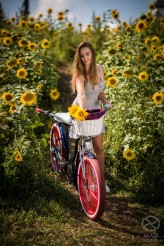 Polinessa                             Foto : MAD Bicycles            