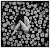 Polanski "Weeping trees"
VII PLENER FOTOGRAFICZNY IM ANDRZEJA BERSZA 2-6.06.21 org autor zdjęcia
https://www.instagram.com/polanski.a
Mod. 
@ira_koroleva_mira@ira_model_mira