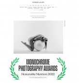 MariuszWroblewski Link: 
https://monoawards.com/winners-gallery/monochrome-awards-2022/professional/nude/hm/18321?fbclid=IwAR1moJbnoVgDpRBIxv1BLRN6UvrQ9bKVZY-7cxkJW4KdAYuKCiettO-_TJ4