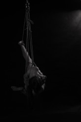 shibaridiemus shibari -suspension