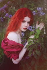 lady_ophelia lilac 