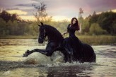 Despiguy Fot. Anna Sychowicz
Koń: Djimmer - Fairy Horses