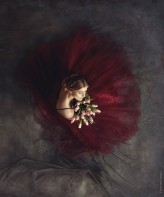 fotobajgraf "Purple Flower" z serii: Feminine Room