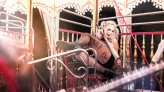 Nibiru-Studio Harley Quinn
Ptaki Nocy
