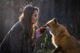 Kindicz Lisia modelka: Freya the fox
Fot. MSobczyk