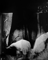 bornell Fotografie wykonane w XIX wiecznej technice mokrego kolodionu. Prezentowane na wystawach: Łódź galeria FF, w Parku Sienkiewicza, za niedługo w Fabryce Trzciny w Warszawie.