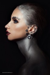 anmakeup Silver Vibes
inspired by Pat McGrath
Model: Olivia Lesiak /More Models
