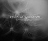 dominika-rybakowska