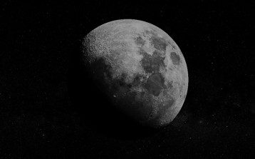 Projektant Lunar-313x