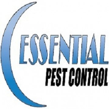 Projektant essentialpest