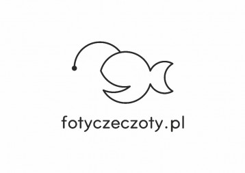 Fotograf Fotyczeczoty