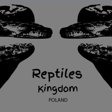 Fotograf ReptilesKingdom