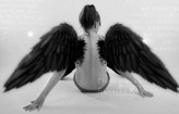 _incredible_                             wings            