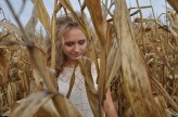na_spontanie W polu kukurydzy