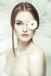 MioFallen Kvety 6