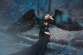 Angeluscustos asiekshots