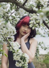 Wika_photograph