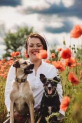 TypowaFoka ZaPSIEni FOTO 