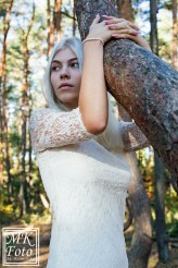 MK-Foto Nikola. W tajemniczym lesie.